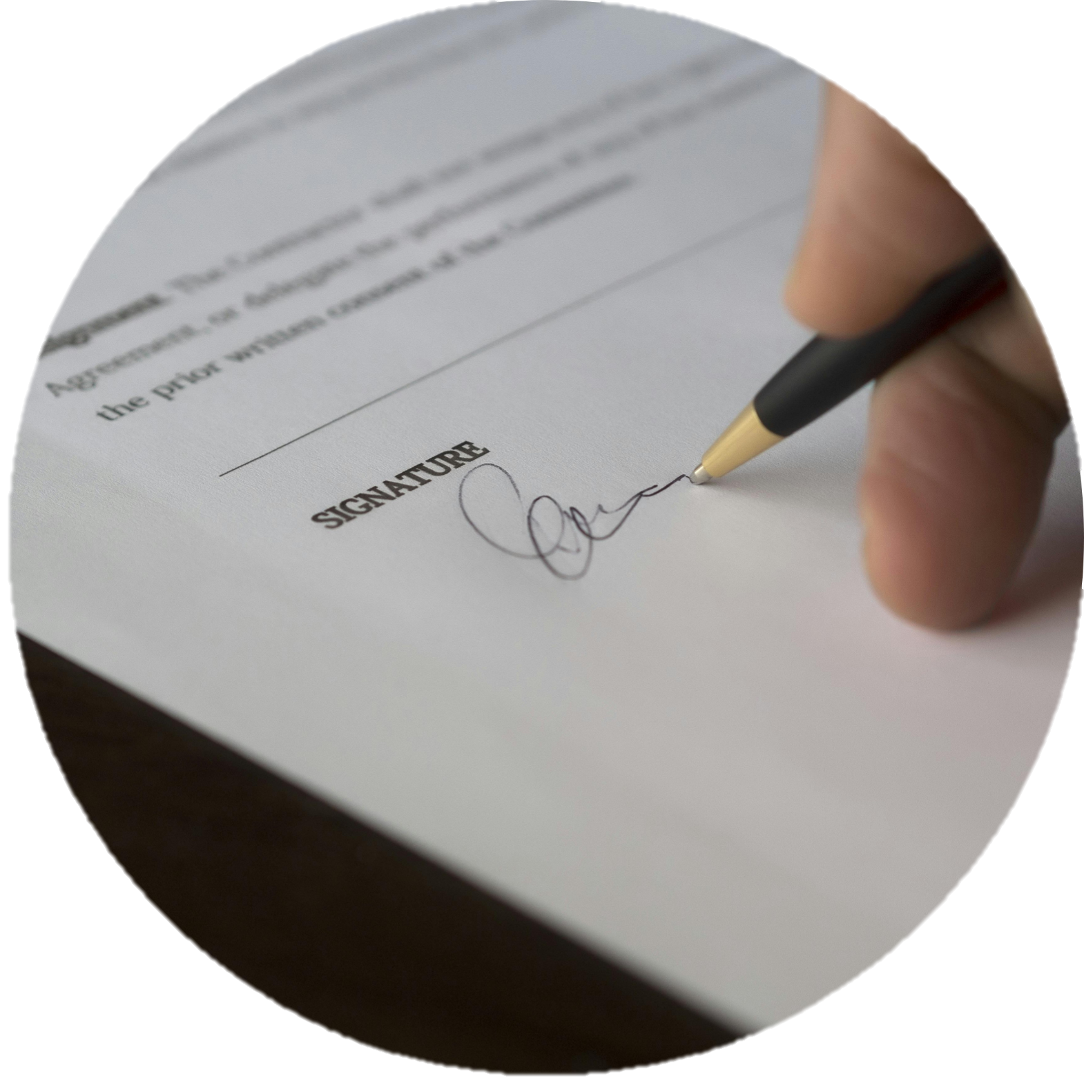 Descripción de la imagen